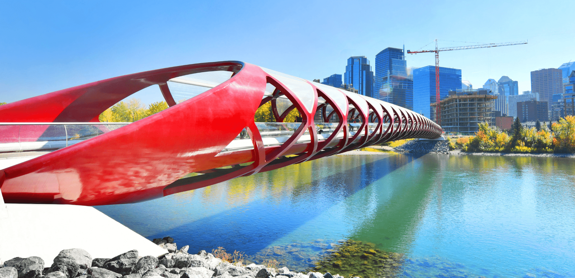 Employment Lawyers Calgary Labour Law | Bow River Law LLP - Article preview image